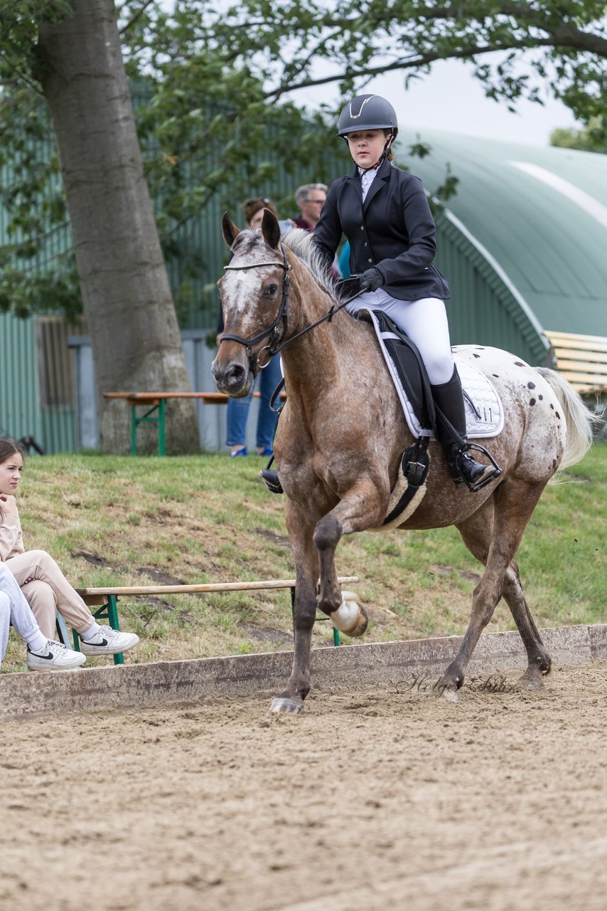 Bild 43 - Pony Akademie Turnier